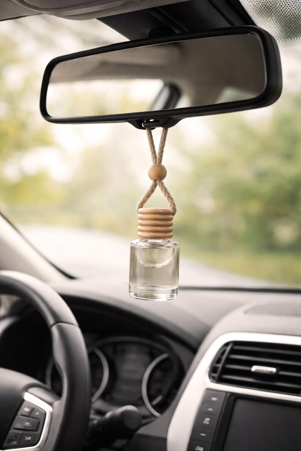 Cashmere Plum Car Diffuser (Single)